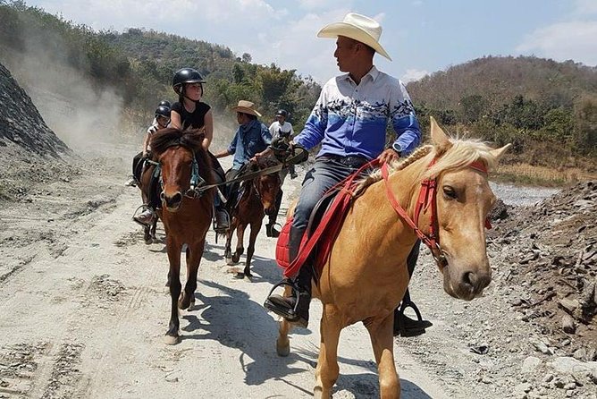 Horse Lesson+Riding+Wat Tonkwen wooden temple.Chiangmai - Is $100.52 a fair price?