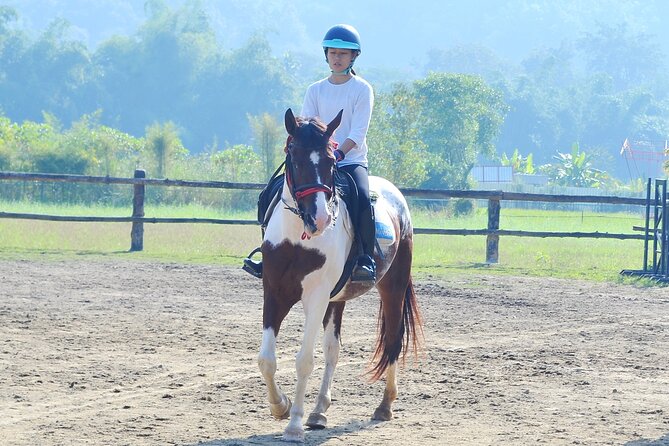 Horse Lesson+Riding+Wat Tonkwen wooden temple.Chiangmai - Practical details that matter