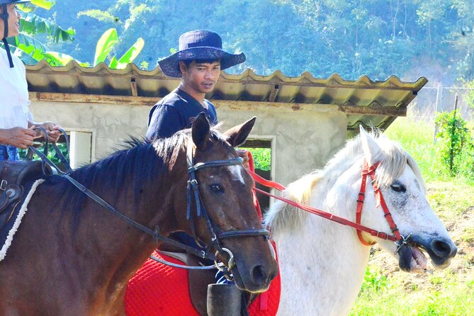 Horse Lesson+Riding+Wat Tonkwen wooden temple.Chiangmai - The horse lesson before you ride
