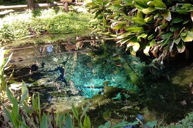 Hot! Doisuthep Temple+Wat Palad+Sticky waterfall - Wat Pha Lat trades grandeur for quiet