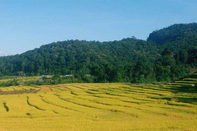 Inthanon Day Trip from Chiang Mai with Lunch - Group or Private - Why Doi Inthanon makes a good Chiang Mai day trip