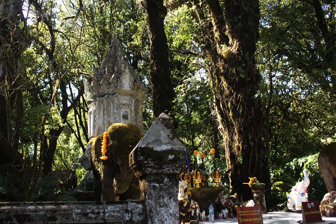 Inthanon Day Trip from Chiang Mai with Lunch - Group or Private - Ban Mae Klang Luang and the coffee stop