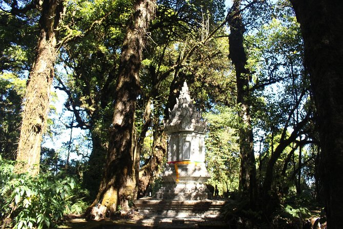 Inthanon Day Trip from Chiang Mai with Lunch - Group or Private - Wachirathan Falls brings the drama