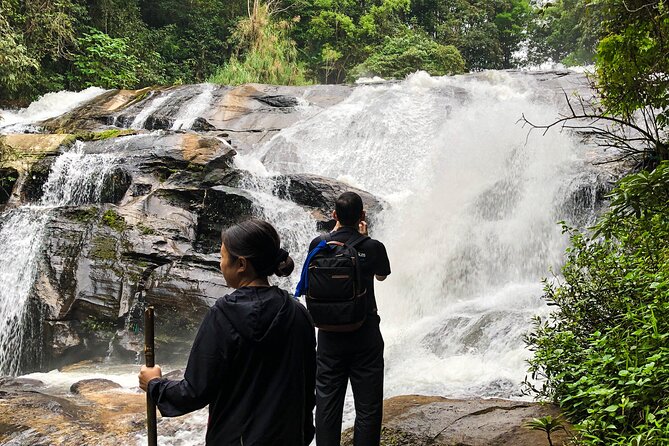 Inthanon National Park Tour with Soft Hike at Pha Dok Siew Trail - Why Doi Inthanon makes a strong day trip