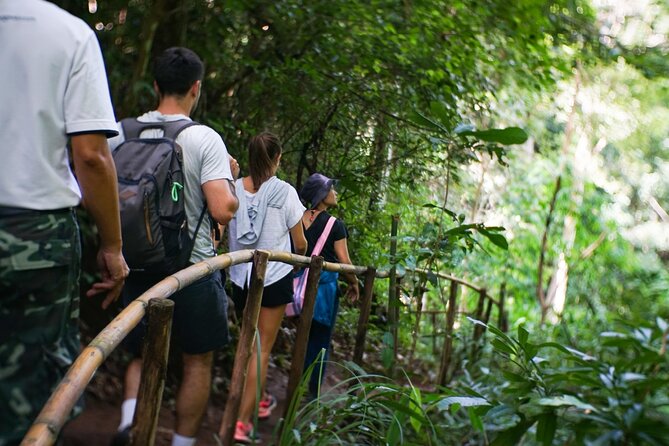 Inthanon National Park Tour with Soft Hike at Pha Dok Siew Trail - Ang Ka Nature Trail: a short start in the rainforest