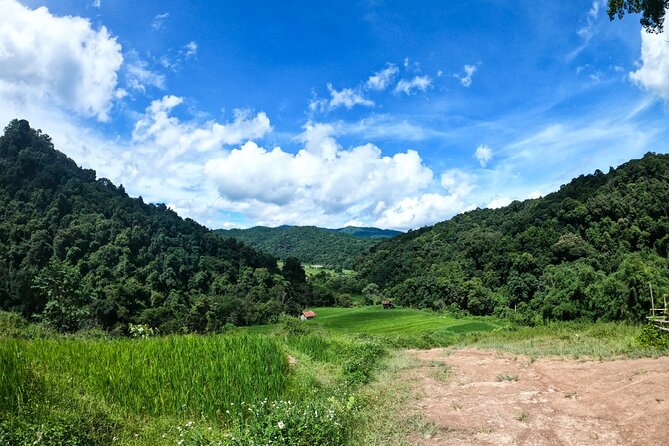 Inthanon National Park Tour with Soft Hike at Pha Dok Siew Trail - The royal pagodas and their broad mountain views