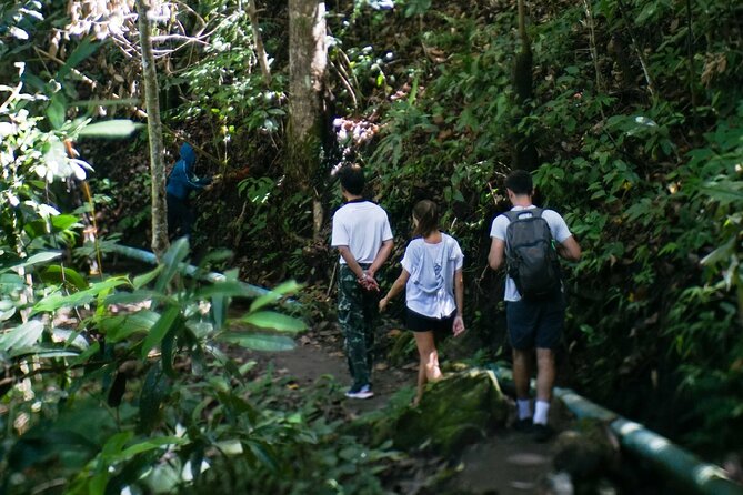 Inthanon National Park Tour with Soft Hike at Pha Dok Siew Trail - A quick look at the Hmong market