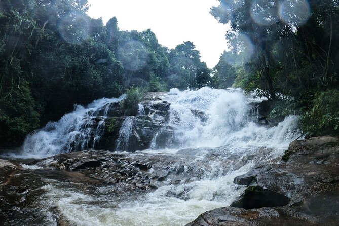 Inthanon National Park Tour with Soft Hike at Pha Dok Siew Trail - Pha Dok Siew: the day’s main walk