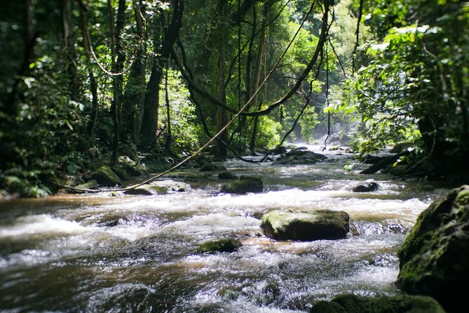 Inthanon National Park Tour with Soft Hike at Pha Dok Siew Trail - Ban Mae Klang Luang and the coffee finish