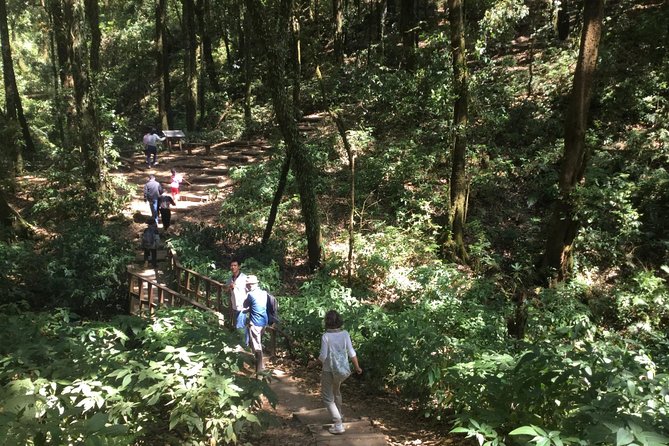 Inthanon Small-Group with Kew Mae Pan Trail from Chiang Mai include Lunch - Why Doi Inthanon works well as a full-day trip