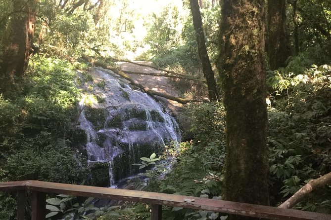Inthanon Small-Group with Kew Mae Pan Trail from Chiang Mai include Lunch - The Royal Project adds gardens and a practical lunch stop