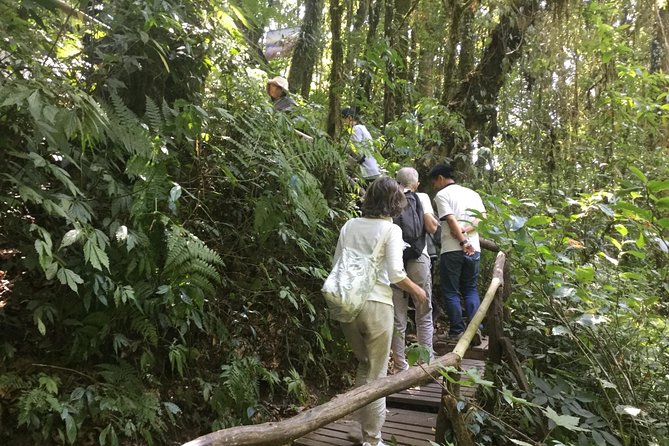 Inthanon Small-Group with Kew Mae Pan Trail from Chiang Mai include Lunch - Kew Mae Pan is the reason to choose this tour