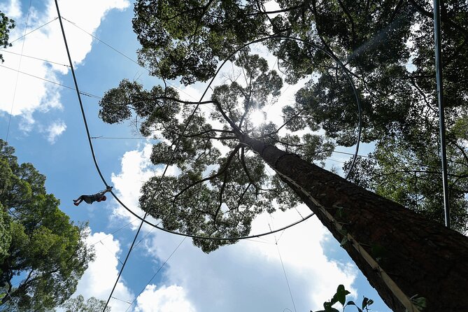 Jungle Flight Zipline Adventure From Chiang Mai - How the price works out at $99.12