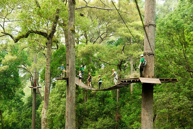 Jungle Flight Zipline Roller Coaster - The one-hour ride from Chiang Mai to the forest