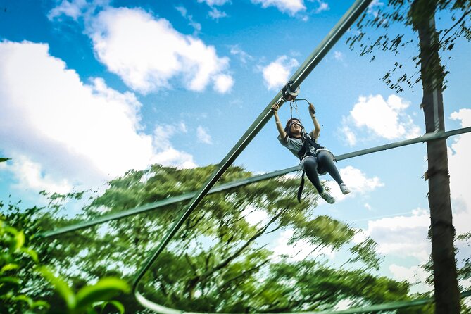 Jungle Flight Zipline Roller Coaster - Fifteen lines through a 1,000-year-old forest