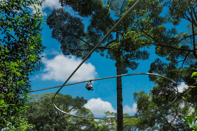 Jungle Flight Zipline Roller Coaster - What to wear and what to bring