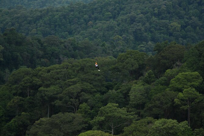 Jungle Flight Zipline Roller Coaster - Who should book this experience?