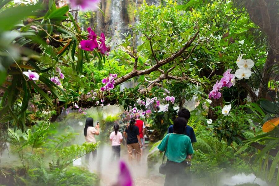 Lalita Cafe & Chiang Rai Temple(White+Blue) from Chiangmai - Lalitta Café: a scenic finish