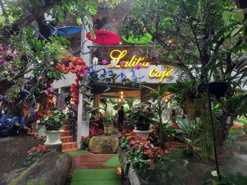 Lalita Cafe & Chiang Rai Temple(White+Blue) from Chiangmai - Who should book this day trip