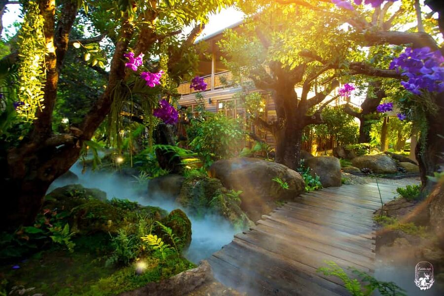 Lalita Cafe & Chiang Rai Temple(White+Blue) from Chiangmai - Mae Kachan Hot Springs: a useful first pause