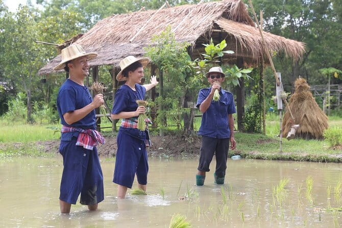 Local Farming Experience in Chiang Mai, Thailand - Bamboo ties and the rice field