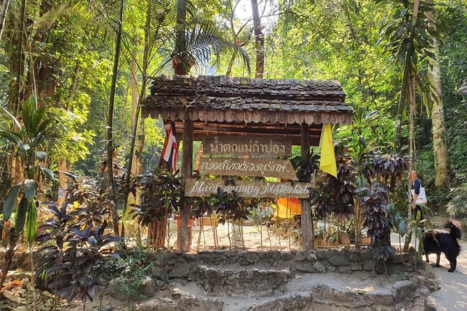 Lost in Chiang Mai - Secret Village, Hot Spring & Waterfall - A Cultural Therapy - The forest trails are the real test of the tour
