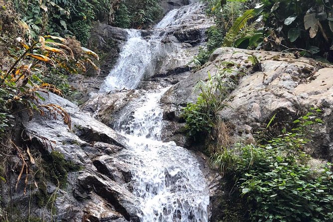 Lost in Chiang Mai - Secret Village, Hot Spring & Waterfall - A Cultural Therapy - Mae Kampong Village: a slower hour in the mountains