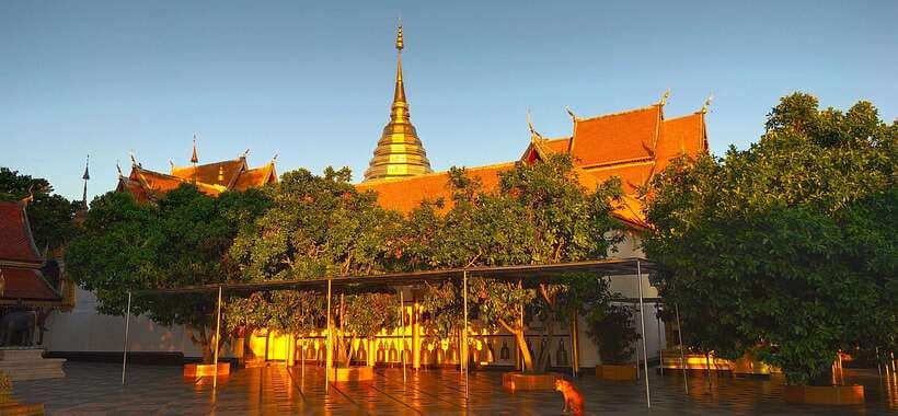 Monk trails hike, Wat Phalat, Monk chanting, Wat Doi Suthep. - Who will enjoy this experience most