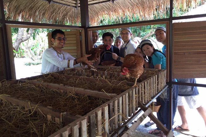 Morning Cooking Class in Traditional Pavilion with Beautiful Garden - Chiang Mai - What you actually eat