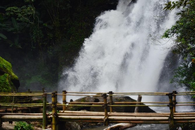 Mount Doi Inthanon Hiking & Bird Watching - The 1.5-hour local forest walk