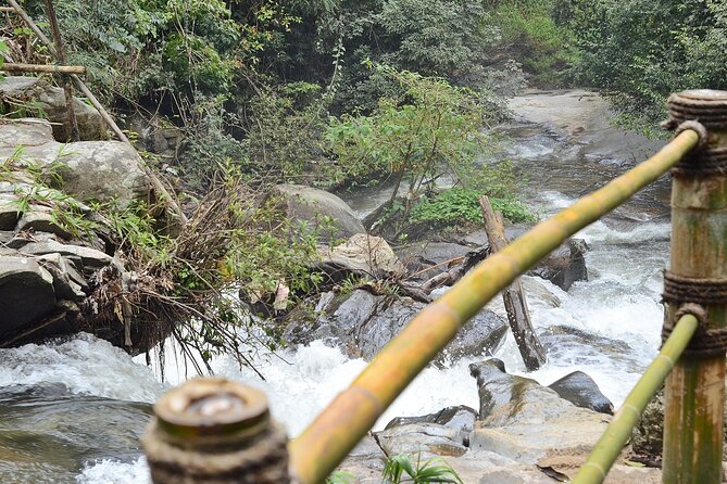 Mount Doi Inthanon National Park Sunrise and Hiking - Mae Khlang Luang coffee and the human side of the walk