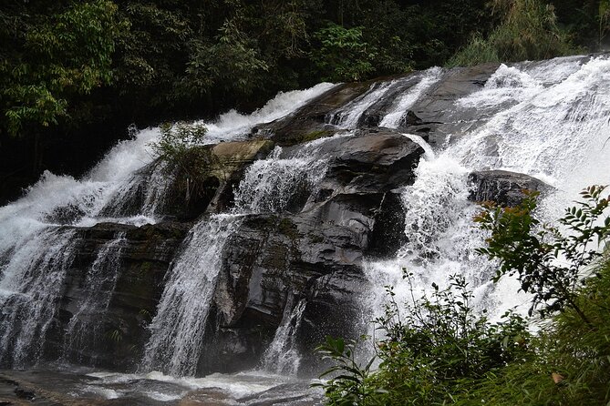 Mount Doi Inthanon National Park Sunrise and Hiking - Guide style: Joe, Lee, Li, and Ming