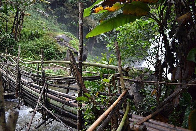 Mount Doi Inthanon National Park Sunrise and Hiking - Pha Dok Seaw Trail: waterfalls, rice fields, and forest steps