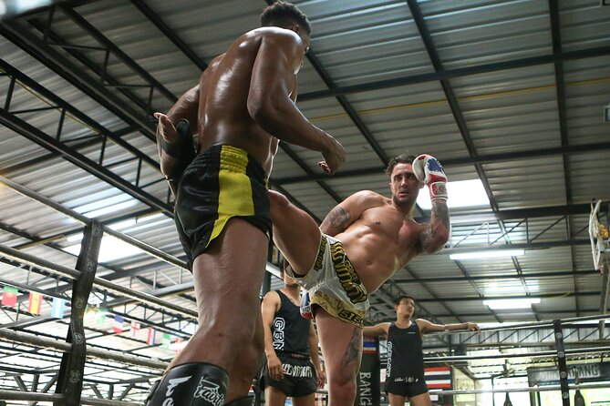 Muay Thai Experience - 1/2 Day - Who should book this morning workout?