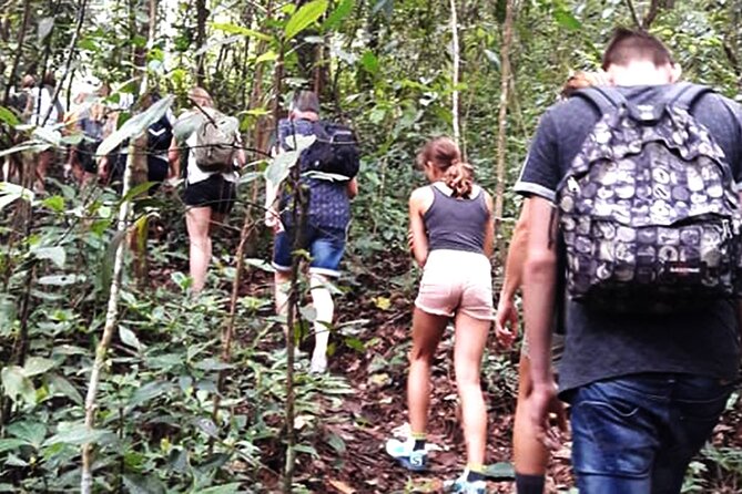 No.1 Chiang Mai: 3-Hour Monk Trail Hike to Wat Doi Suthep & Palad - Starting in Doi Suthep-Pui National Park