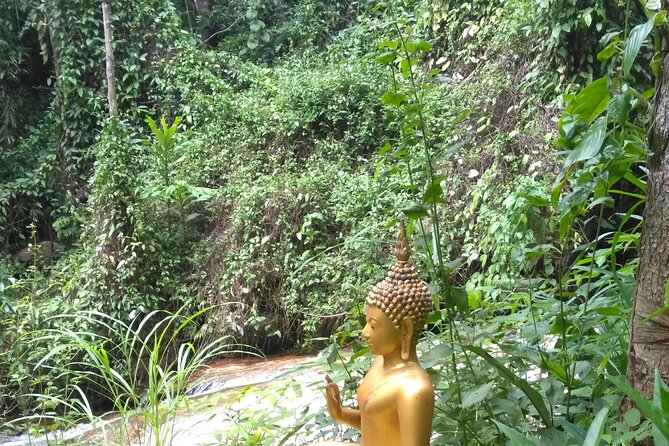 No.1 Chiang Mai: 3-Hour Monk Trail Hike to Wat Doi Suthep & Palad - What the $64.80 price gets you