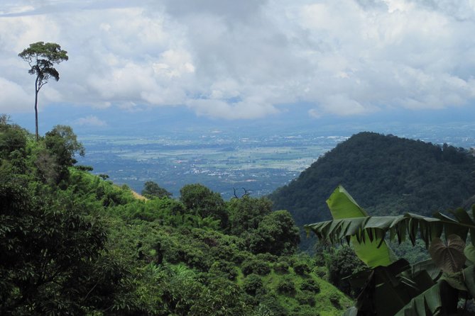 No.1 Chiang Mai: Advanced Downhill Mountain Biking, Suthep N.Park - What the $74.95 price really covers