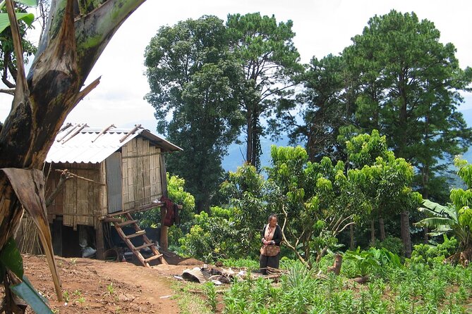 No.1 Chiang Mai: Advanced Downhill Mountain Biking, Suthep N.Park - Group size, pace, and the feel of the day