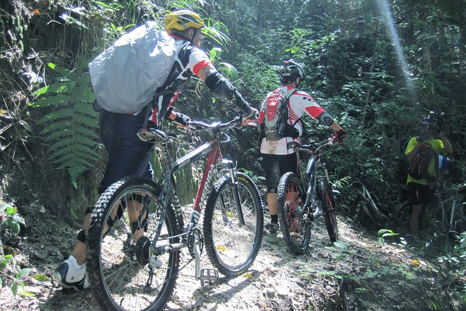 No.1 Chiang Mai: Advanced XC Downhill Biking, Doi Suthep N. Park - The single-track section is the real test
