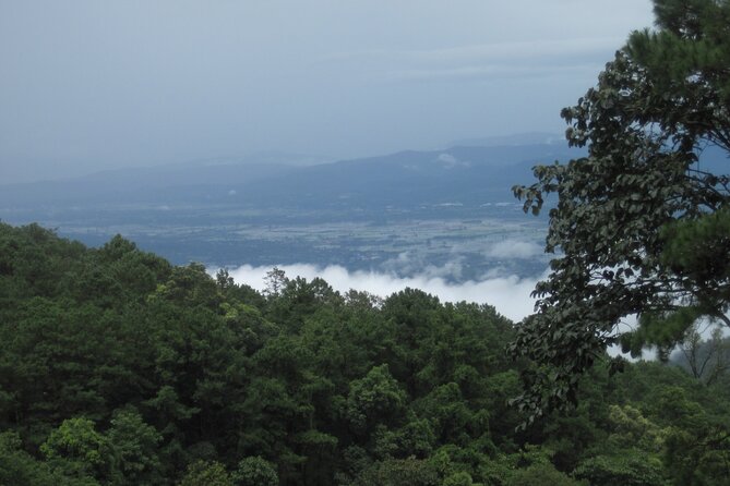 No.1 Chiang Mai: Advanced XC Downhill Biking, Doi Suthep N. Park - A forest coffee stop adds a welcome pause