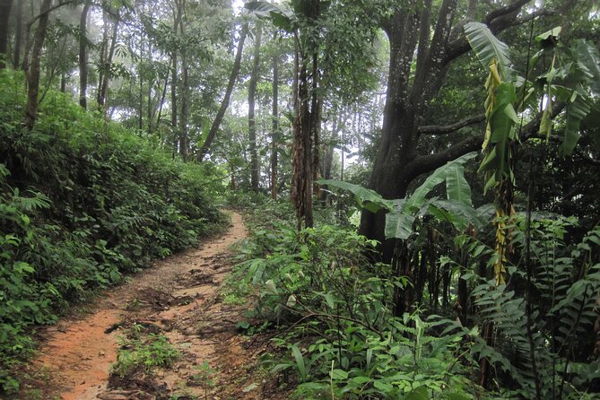 No.1 Chiang Mai: Advanced XC Downhill Biking, Doi Suthep N. Park - Finishing at Lake Huay Tueng Tao
