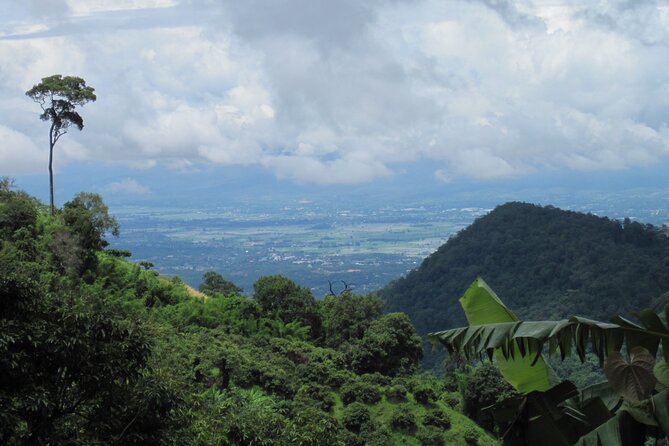 No.1 Chiang Mai: Advanced XC Downhill Biking, Doi Suthep N. Park - Is $80.67 a fair price?