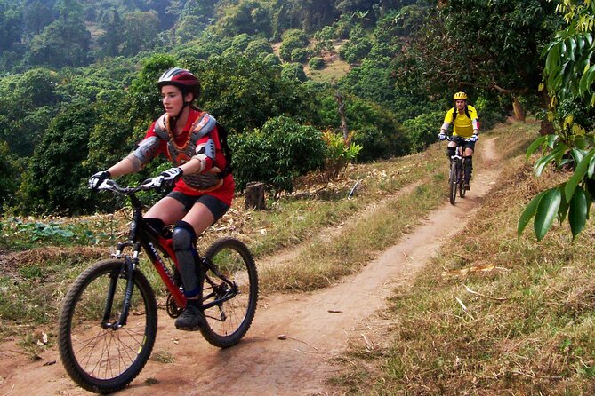 No.1 Chiang Mai: Epic Doi Suthep Downhill MTB Adventure - Transport, group size, and the value of $74.97