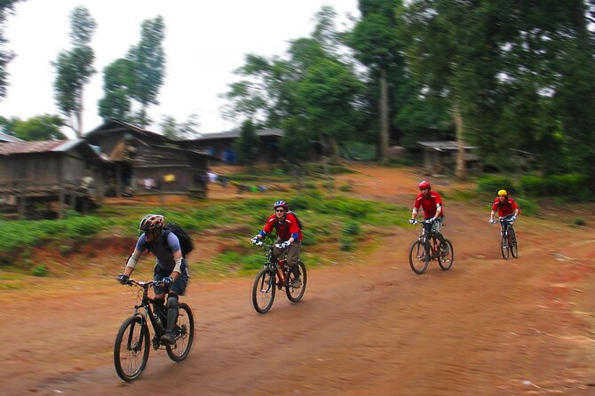 No.1 Chiang Mai: Epic Doi Suthep Downhill MTB Adventure - Reaching Doi Suthep-Pui at 1,550 meters