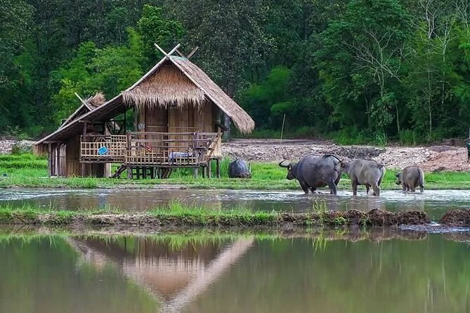 "No.1 Chiang Mai: Leisure Bicycle Ride to Lake Huay Tueng Tao" - Returning to Chiang Mai