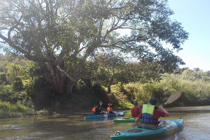 No.1 Chiang Mai: Leisure River Kayaking: Mae Taeng forest Reserve - Why the Mae Ping River makes a fine half-day escape
