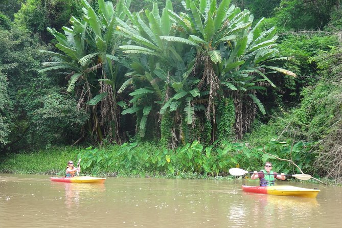 No.1 Chiang Mai: Leisure River Kayaking: Mae Taeng forest Reserve - What the $74.95 price includes