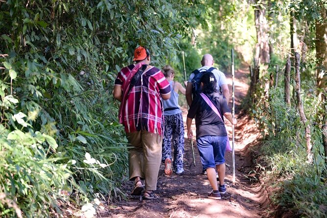 Off the Map Chiang Mai Jungle Coffee Trek Roast and Brew - Planting a coffee tree in the highlands