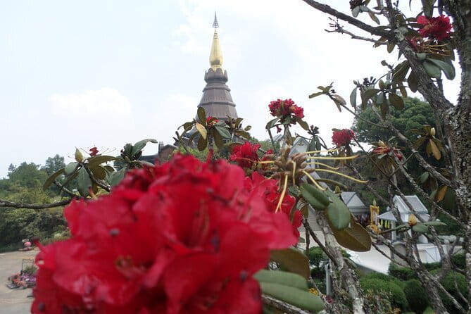 One day Doi Inthanon National Park & Trekking on Kew Mae Pan - What the $161.99 price really covers
