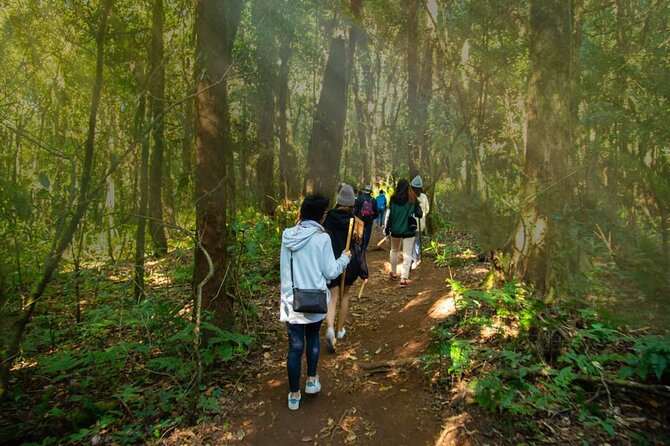 One day Doi Inthanon & Trekking at Pha Dok Siew - Lunch and the move from sightseeing to walking